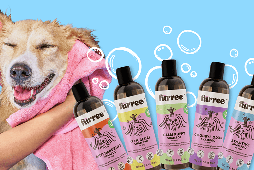 Természetes ápolás kívül-belül, minden bundára!