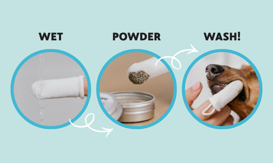 Ujjra húzható fogtisztító kendő kutyáknak és macskáknak— ajándék fogmosó porral